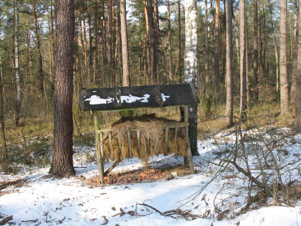 paśnik dla zwierząt