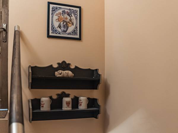 Alpejski Apartament w Pieninach