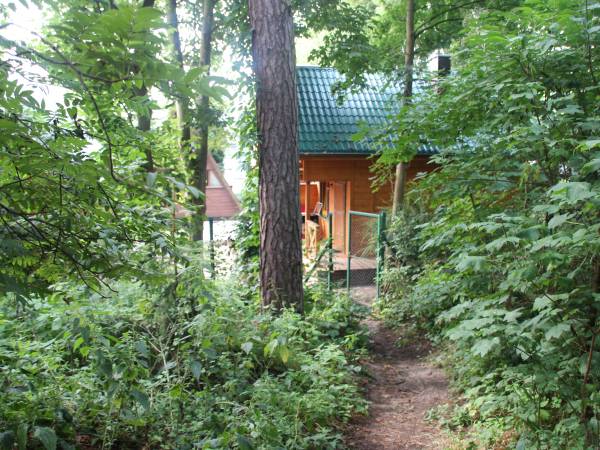 Domki pod lasem blisko morza, Sztutowo