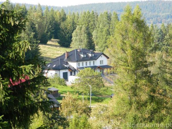 obiekt w otoczeniu zieleni