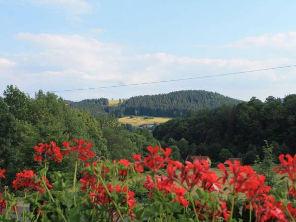 Agroturystyka U.R. Orłowscy