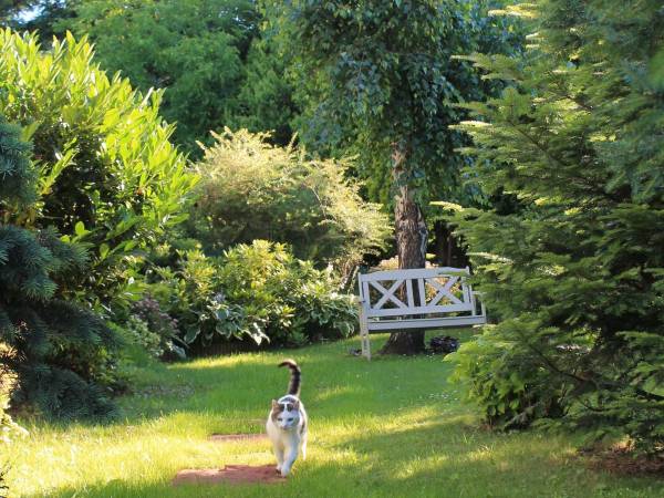 Agroturystyka U.R. Orłowscy