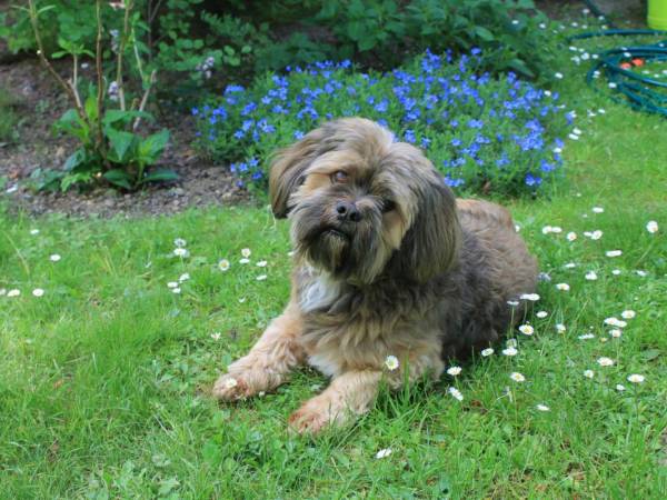 Agroturystyka U.R. Orłowscy