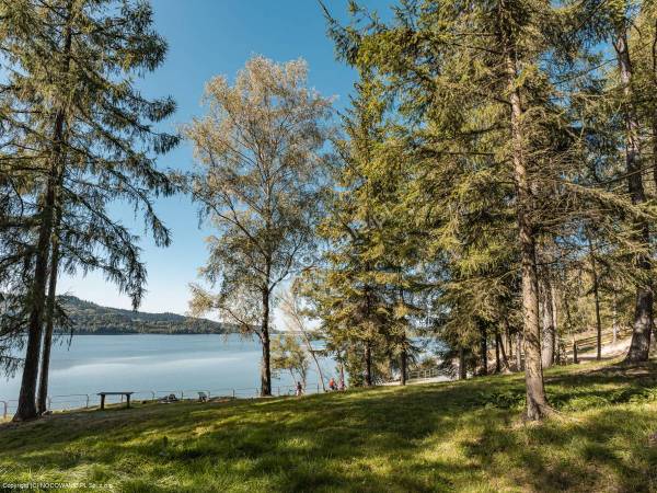 Apartamenty Zielone Skałki 