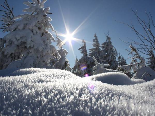 Pokoje Pod Bieńkulą