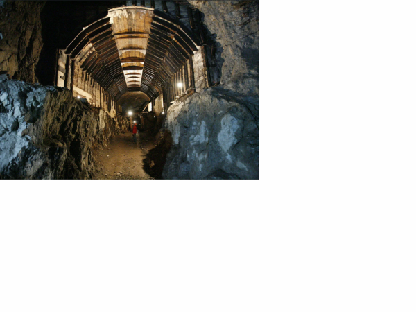 Dom Letniskowy Krokus