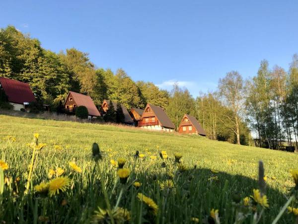 kilka kroków od domku