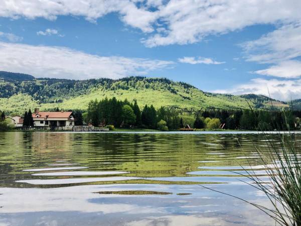 kilka kroków od domku