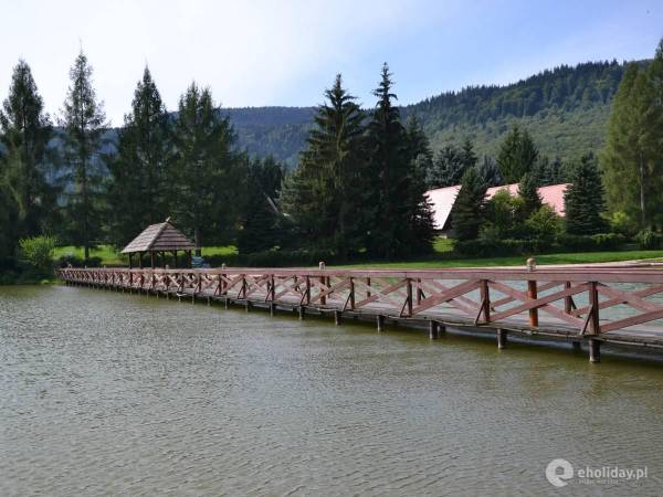 kilka kroków od domku