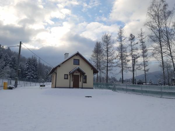 Domek w zimowej scenerii
