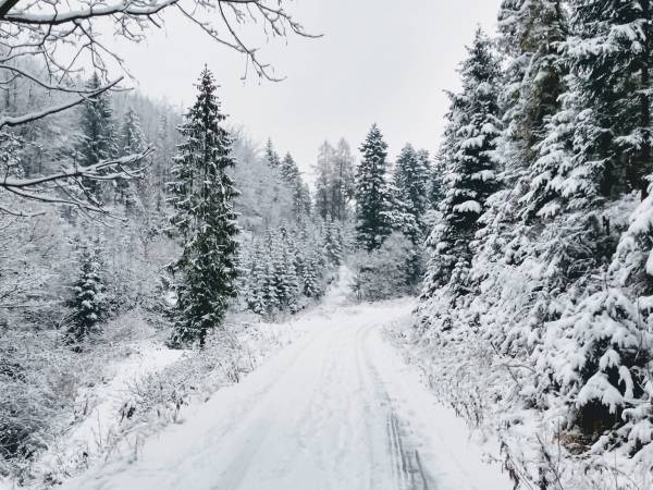 Apartamenty Siedlisko