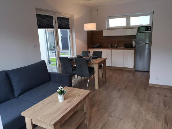 Salon z aneksem kuchennym