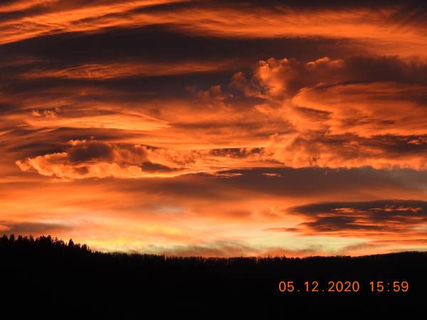 Apartamenty Szóstka