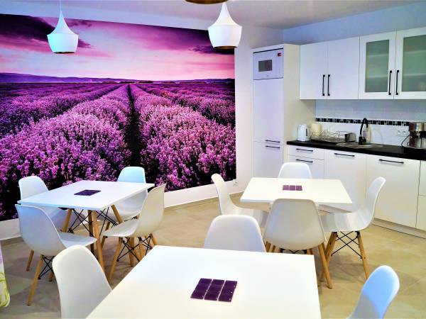 Willa Lawendowy Domek