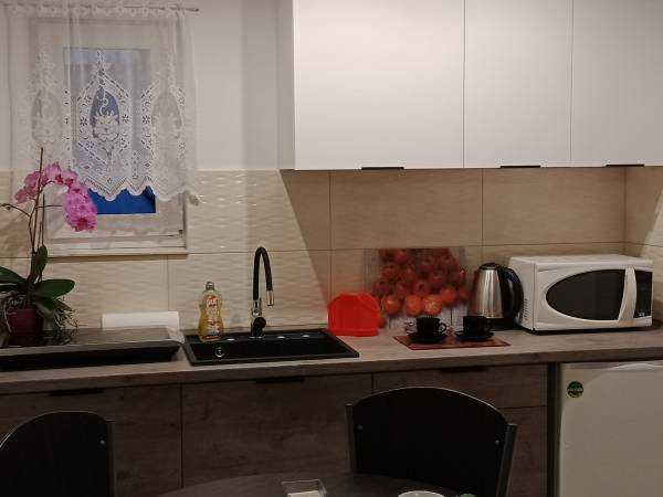 Pokój rodzinny z aneksem kuchennym