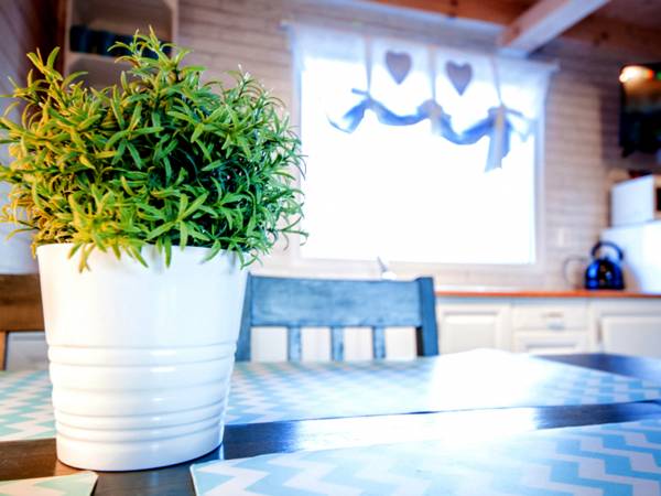 Domki Letniskowe Cuba