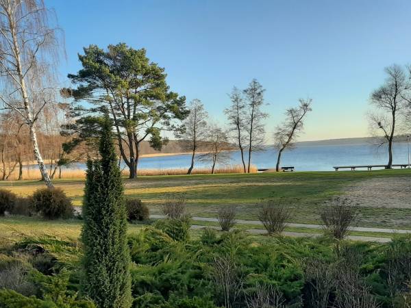 Widok od strony Restauracji