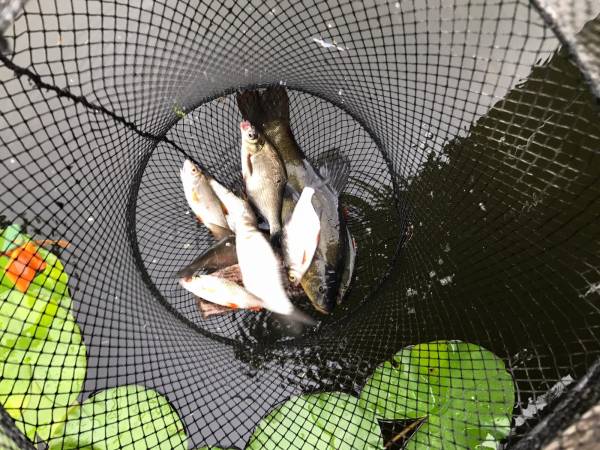 Borysówka na Suwalszczyźnie