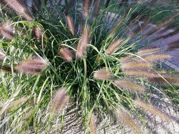 Ośrodek Wypoczynkowy NATALIA