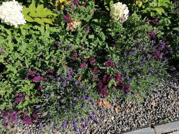 Ośrodek Wypoczynkowy NATALIA