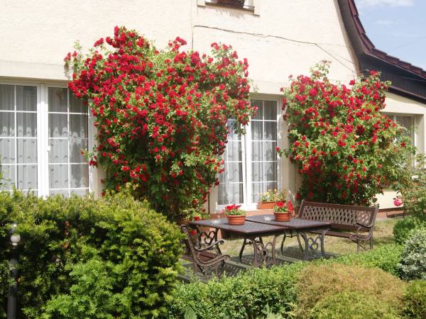 Centrum Wczasowe Gaja