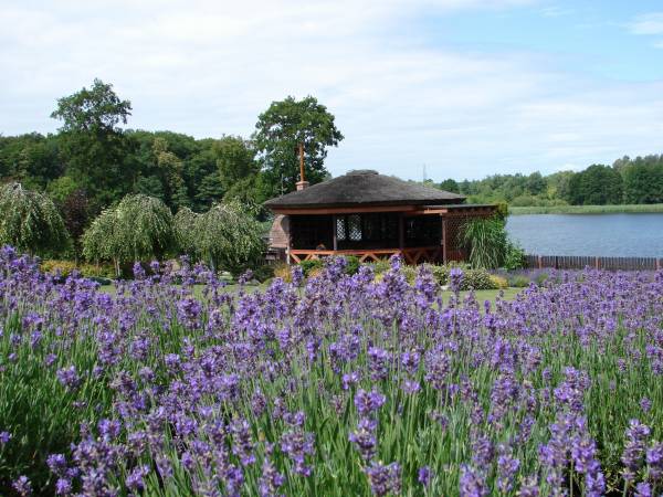 Altana ogrodowa nad wodą 