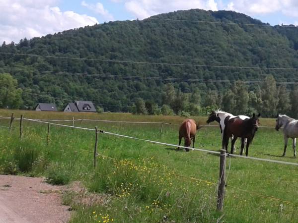 Domki Całoroczne Wichrowe Wzgórze Bieszczady