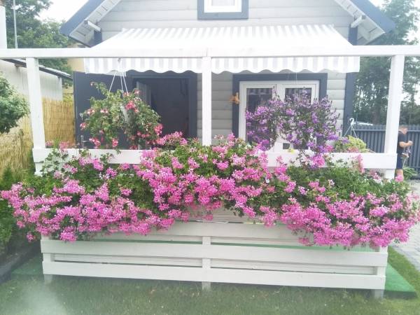 Sarbidomki przy plaży