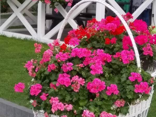 Sarbidomki przy plaży