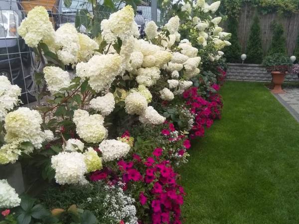 Sarbidomki przy plaży