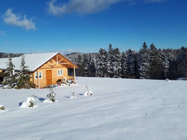 Domki Letniskowe u Henia i Anety