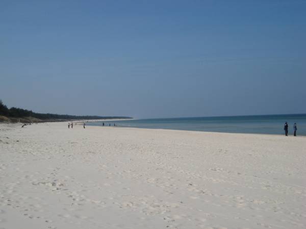 plaża w Grzybowie