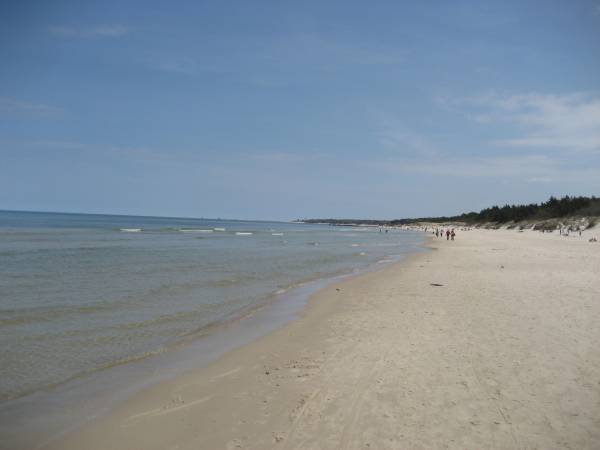 plaża w Grzybowie