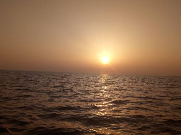 Pokoje gościnne / apartamenty Monika Budda