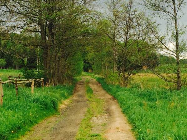 Droga dojazdowa do Siedliska