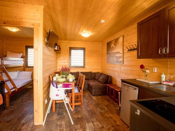 Wicie Domki na Polanie