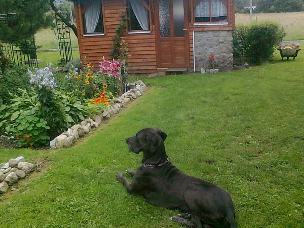 Agroturystyka w Dolinie