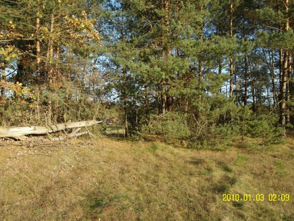 Domek letniskowy - spichlerz na Podlasiu