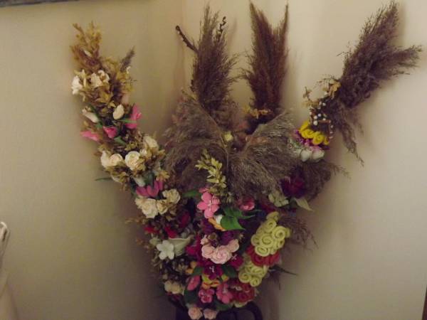 Domki i pokoje Kapio