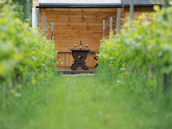 Agroturystyka i Winnica Granice