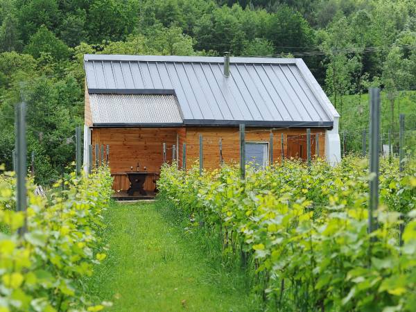 Agroturystyka i Winnica Granice