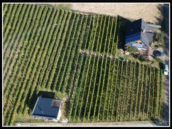 Agroturystyka i Winnica Granice