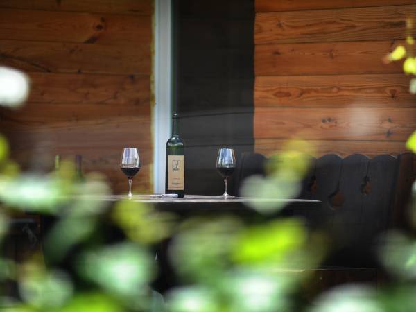 Agroturystyka i Winnica Granice