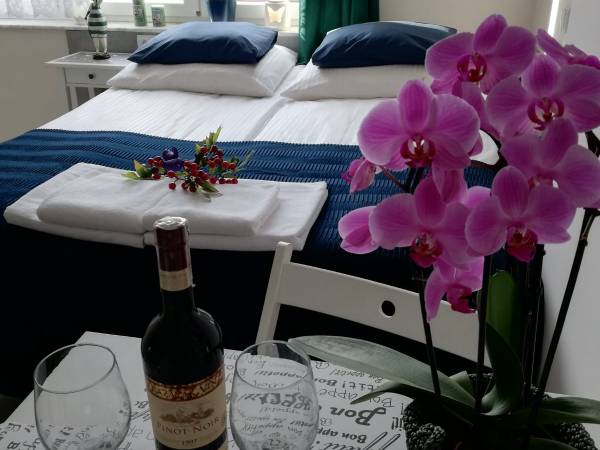 Pokój dwuosobowy z aneksem