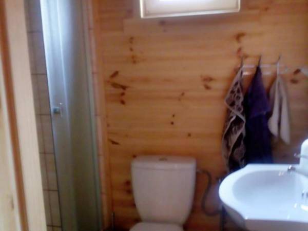 Domki Letniskowe w Borsku