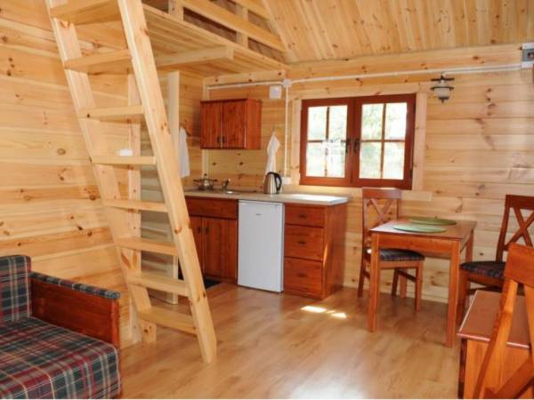 Domki Letniskowe w Borsku