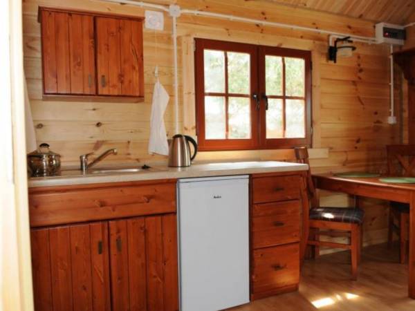 Domki Letniskowe w Borsku