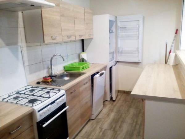 Domki Letniskowe w Borsku