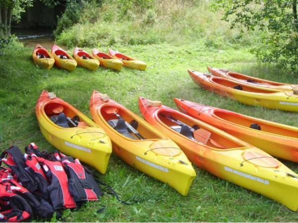 Domki Letniskowe w Borsku