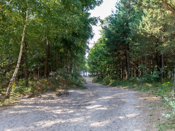 Domki letniskowe Błękit